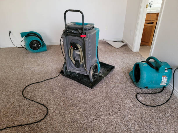 Best Water damage restoration near me  in Tipton, CA