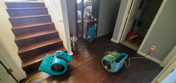 Best Local water damage restoration  in Tipton, CA