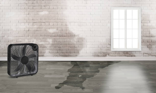 Best Water damage mitigation services  in Tipton, CA