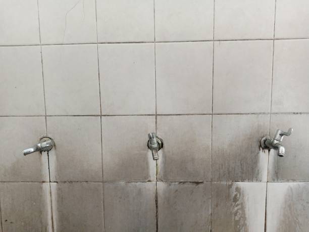 Best 24/7 water damage repair  in Tipton, CA
