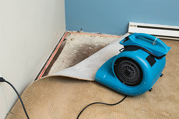 Best Water damage contractors near me  in Tipton, CA
